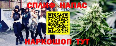 Альфа ПВП Гудермес