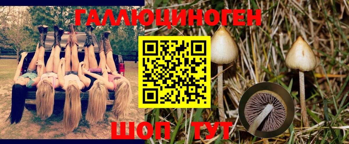 Медногорск  наркошоп  Вход с VPN  Галлюциногенные грибы MAGIC MUSHROOMS 