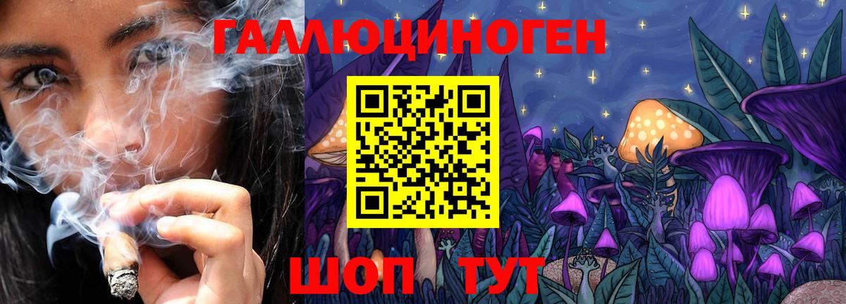 Галлюциногенные грибы Cubensis Медногорск